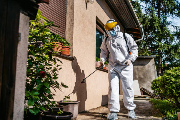 Best Affordable Pest Control Services  in La Porte City, IA