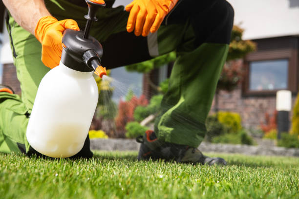 Best Pest Inspection Near Me  in La Porte City, IA