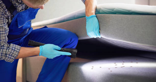 Best Wasp Removal Services  in La Porte City, IA