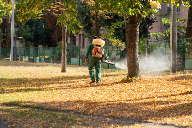 Reliable La Porte City, IA Pest Control Solutions